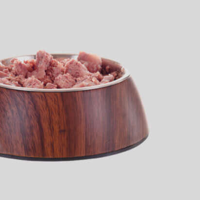 katzen nassfutter bubblenavibanner